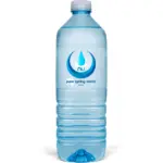 Nu Pure Spring Water 600Ml