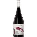 Yalumba Orgarnic South Australia Shiraz